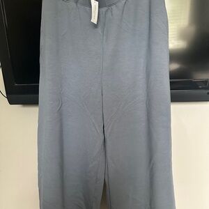 Banana Republic Sky Blue Trousers